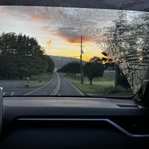 Meet your Posher, Bailey